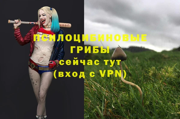 синтетический гашиш Белокуриха