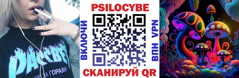 Псилоцибиновые грибы Psilocybine cubensis  Звенигово 